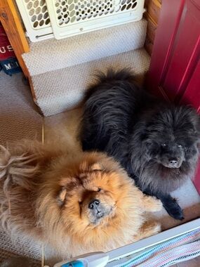 Paralegal|Legal Assistant